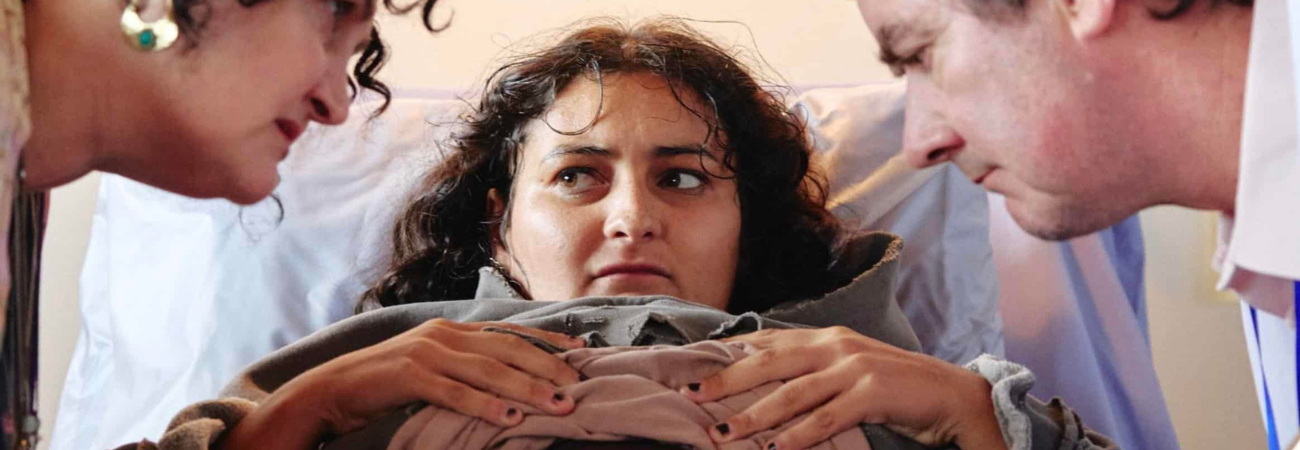 Poster for Celluloid Screams: Mum, I'm Alien Pregnant