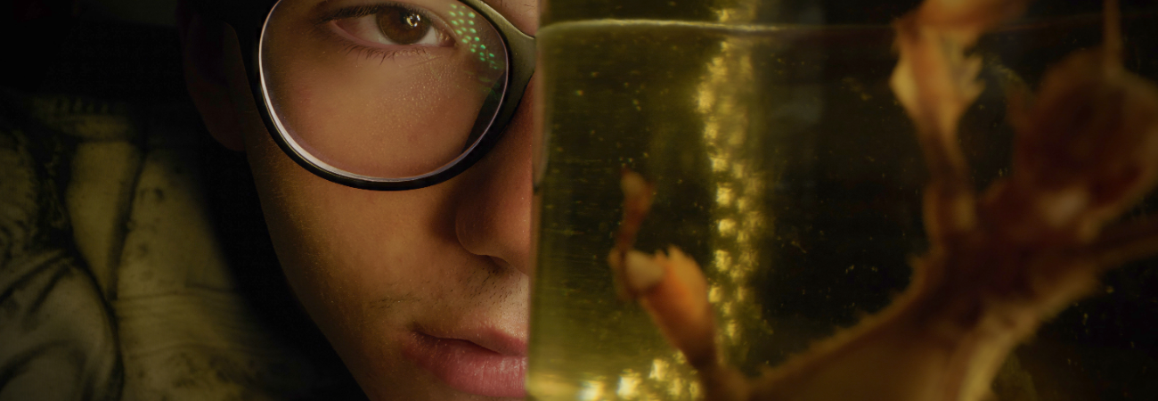 Poster for Baby Kino x DocFest: Bugboy