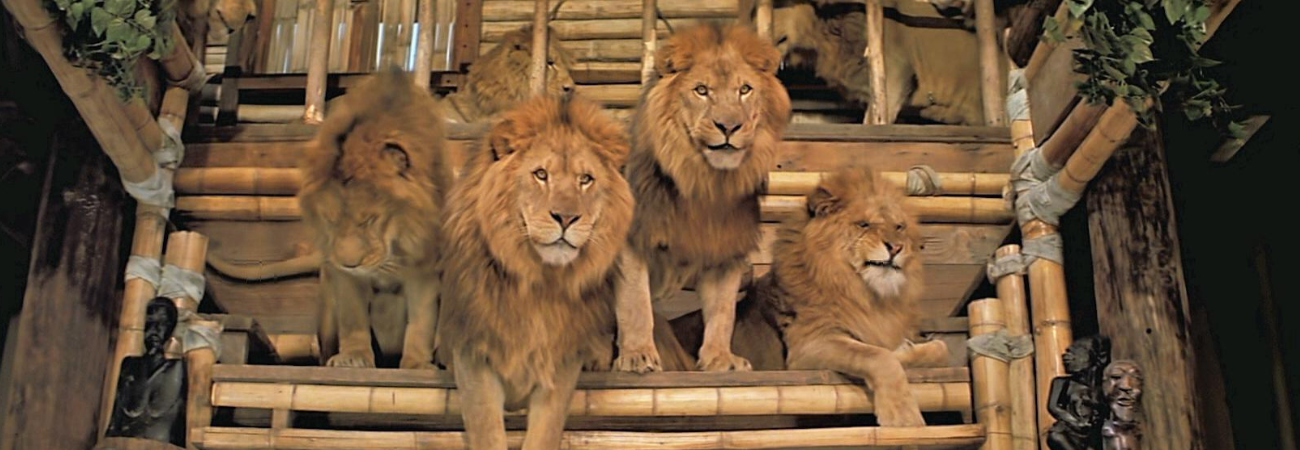 Poster for Culture Shock: Roar