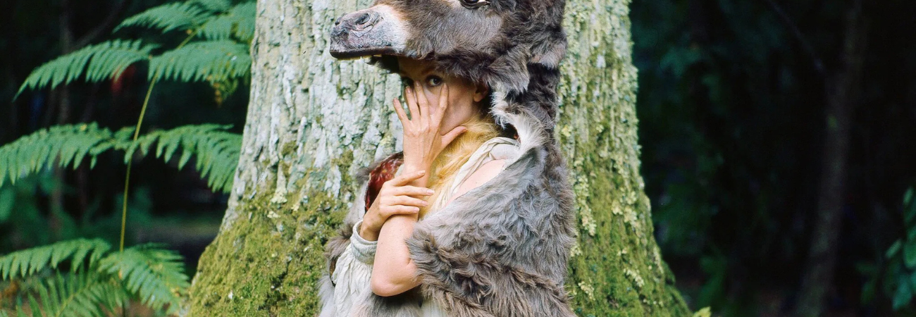 Poster for Double Take: Donkey Skin
