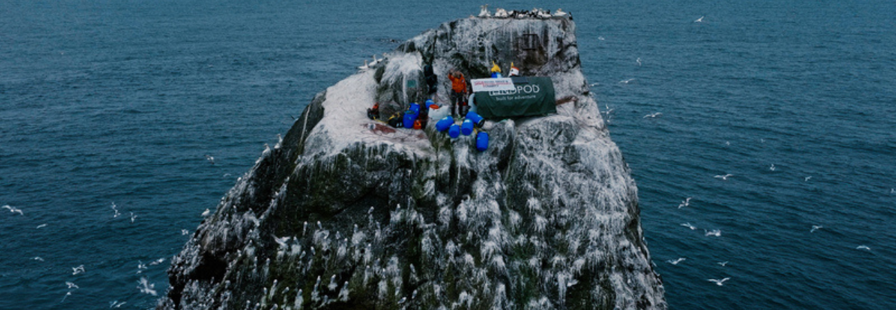 Poster for ShAFF: The Edge of Existence