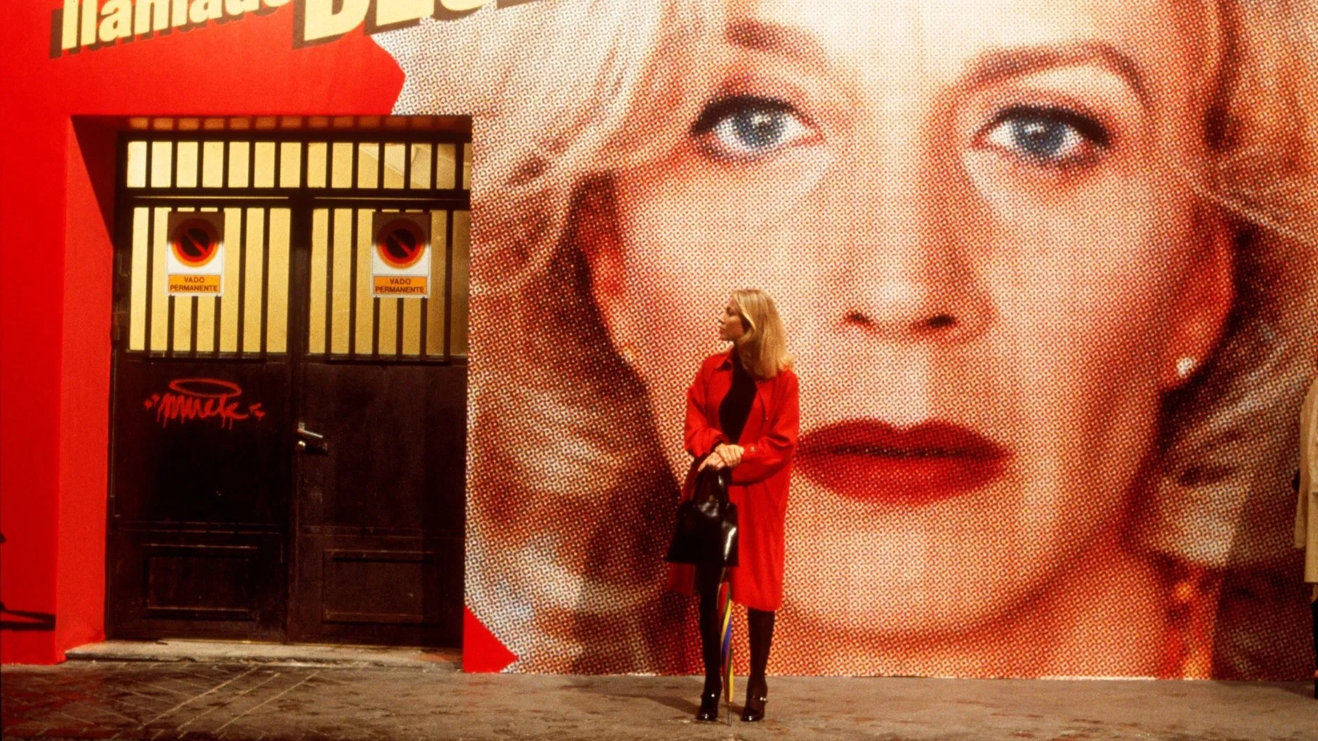 Poster for Film Studies: All About My Mother