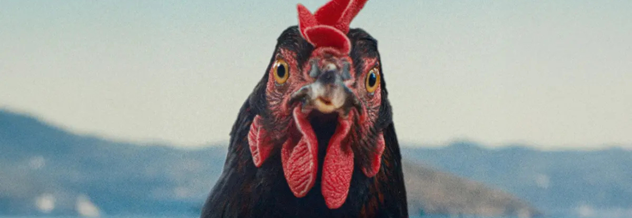 Poster for Hen