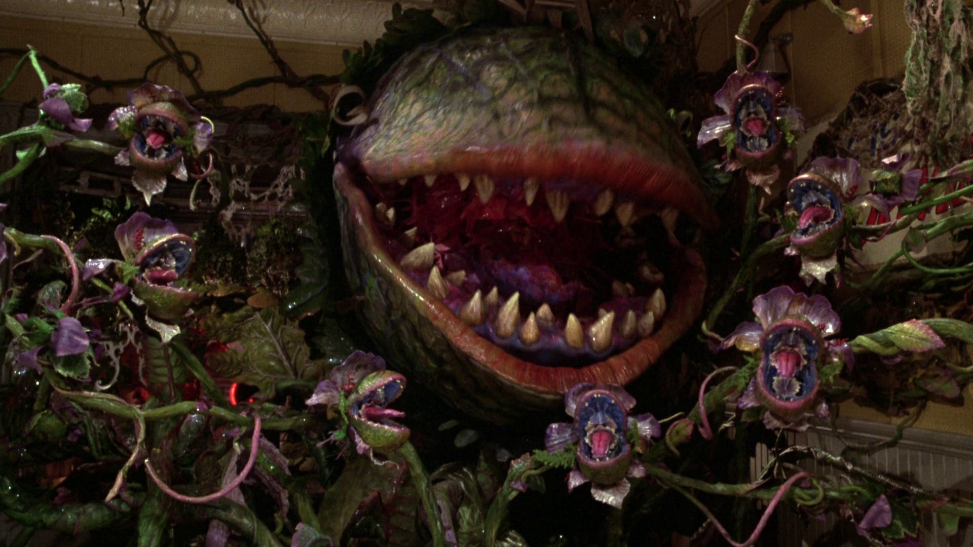 Poster for Little Shop of Horrors (Directors Cut)