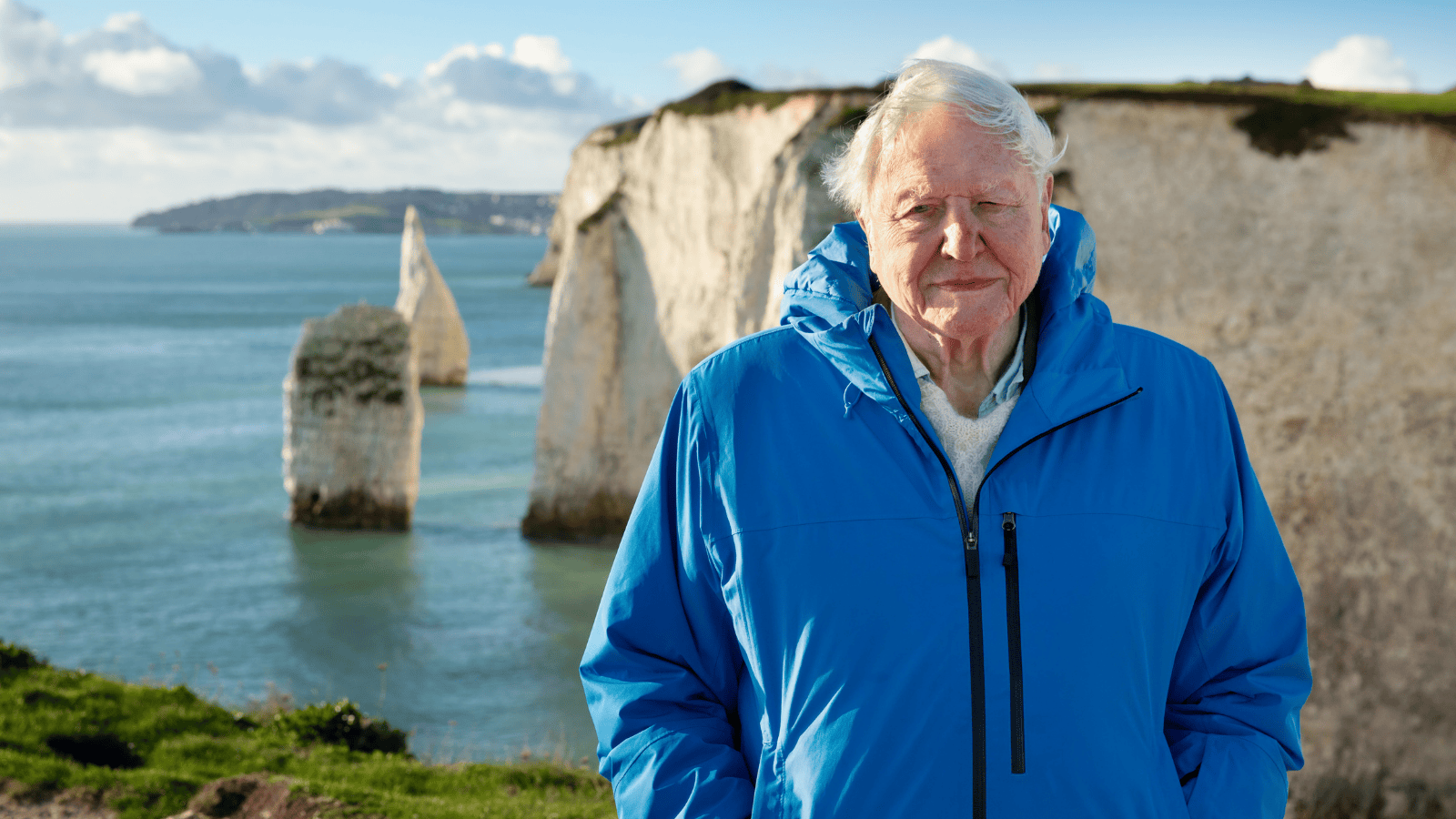 Poster for Family Time: Ocean with David Attenborough [+ Crafts]