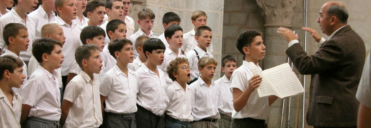 Poster for Spotlight: The Chorus (Les Choristes)