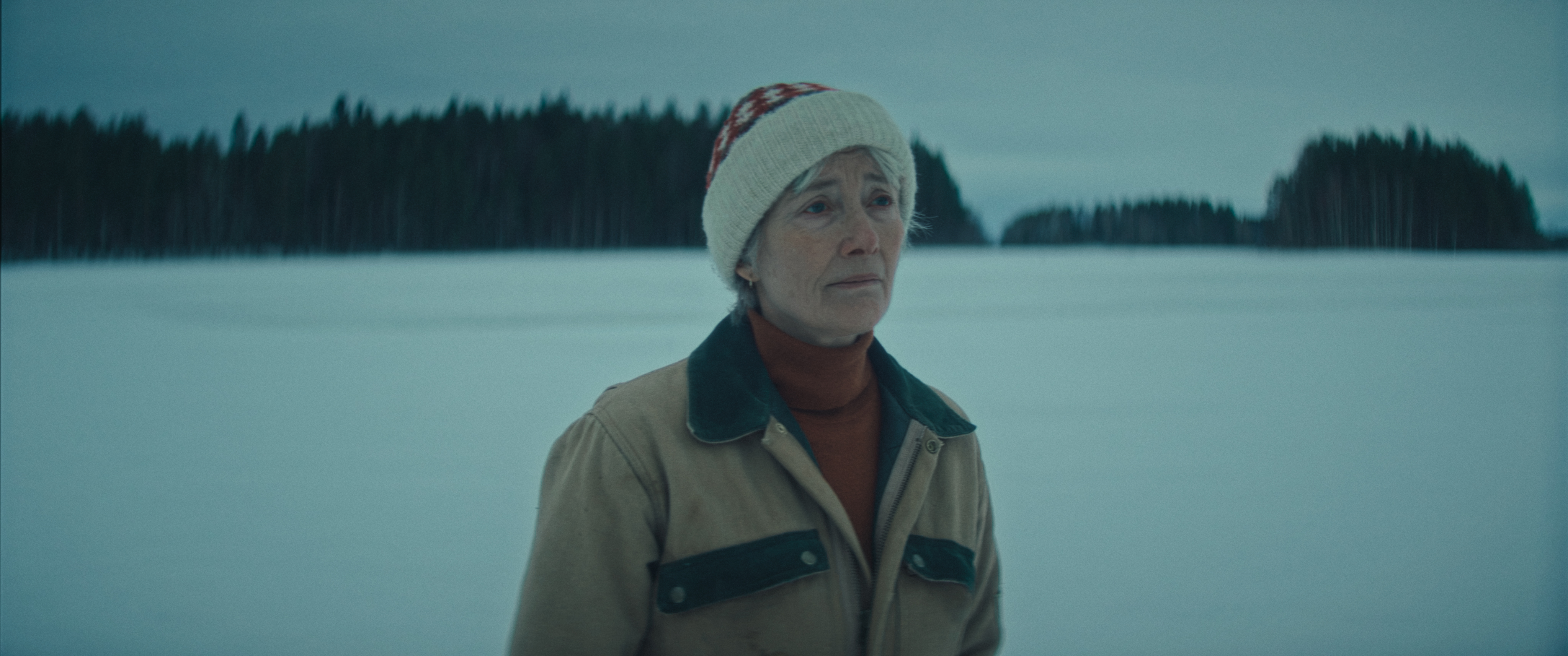 Poster for The Dead of Winter