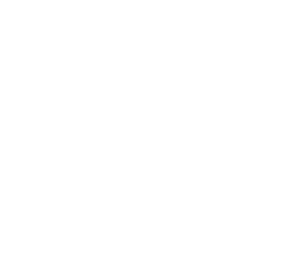 Triple Point Logo