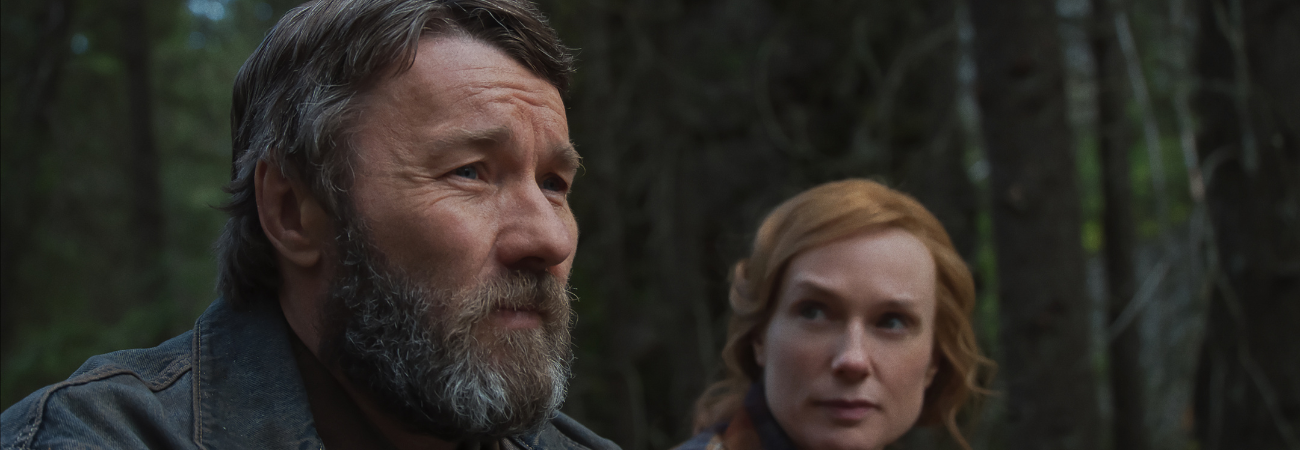 Poster for Train Dreams