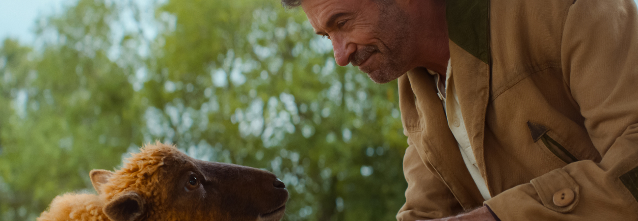 Poster for Baby Kino: The Sheep Detectives
