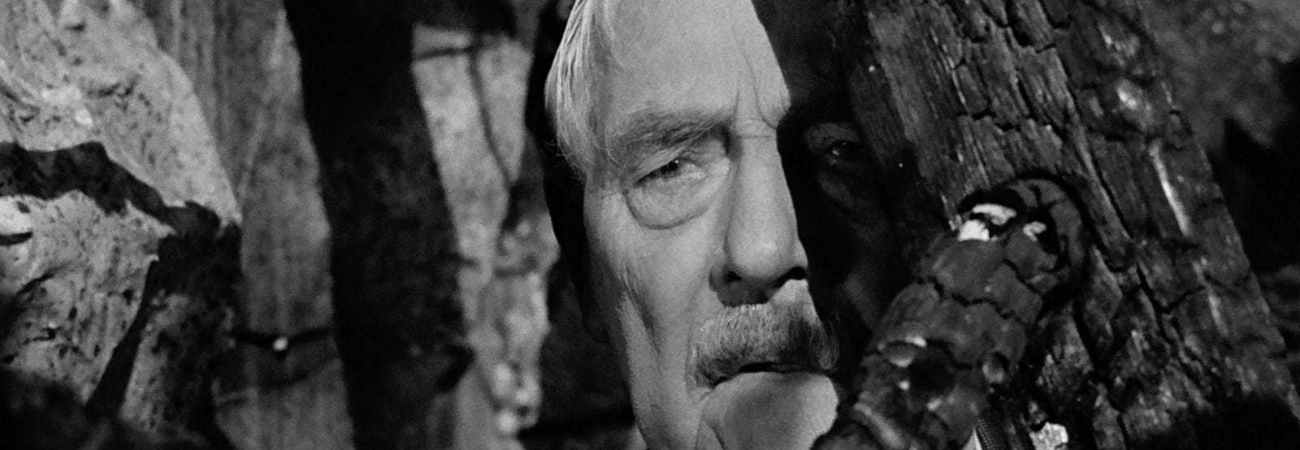 Poster for 5 by Bergman: Wild Strawberries